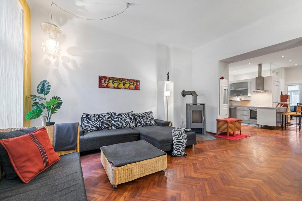 2 Bedroom Vintage Apartment, Garden, Near Schoenbrunn Apartment Wien